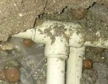 龙岩市测漏水多少钱