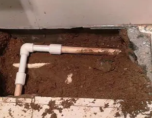 龙岩市测漏水哪家好