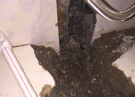 龙岩市卫生间测漏水哪家好