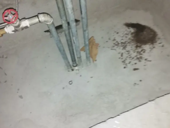 龙岩市卫生间测漏水价格明细