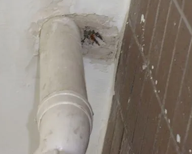 龙岩市漏水检测哪家好